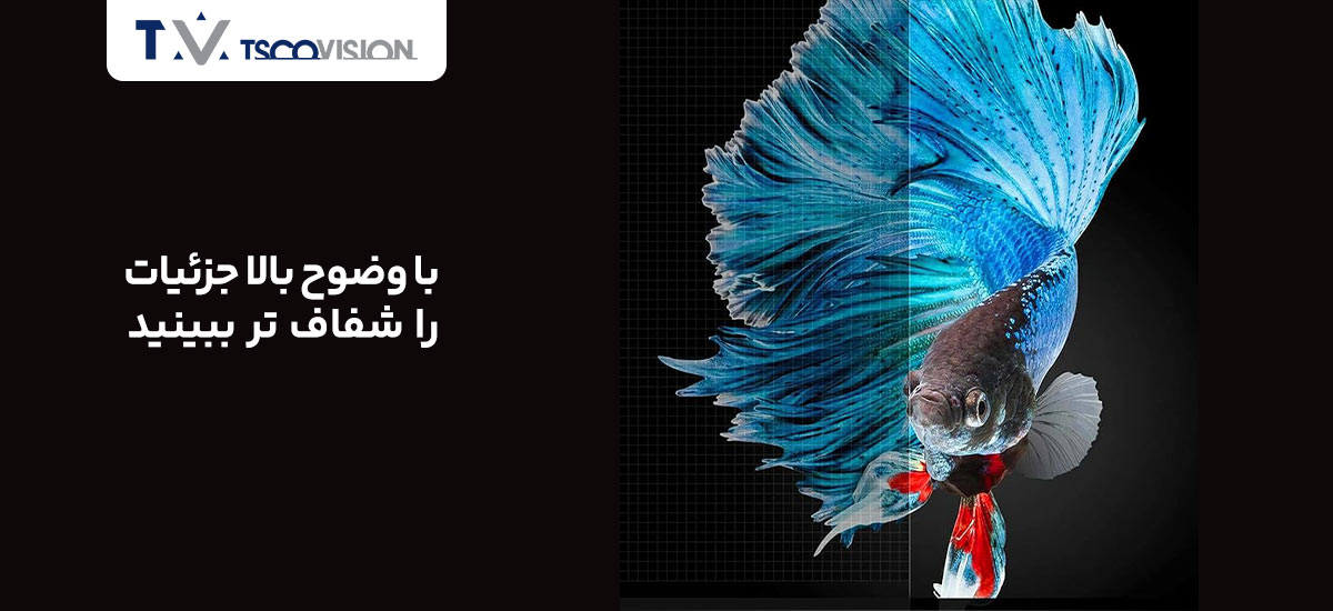 بهترین ویدئو پروژکتور تا 20 میلیون | وضوح تصویر