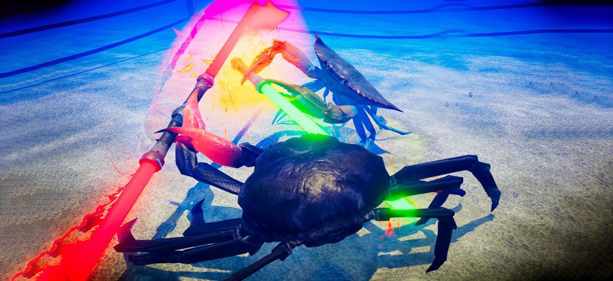 Fight Crab 2