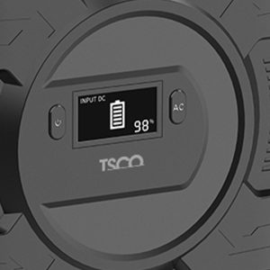 TST 300
